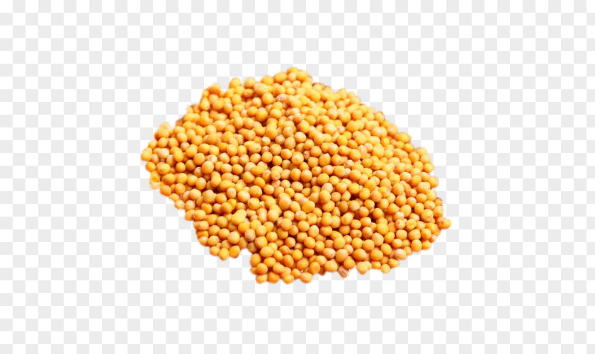 Mustard Seed Spice Food PNG