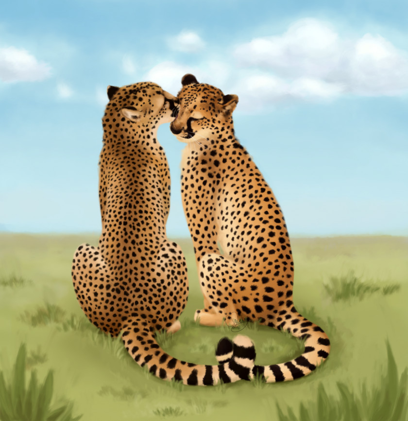 Cheetah King Cat Leopard Valentine's Day PNG