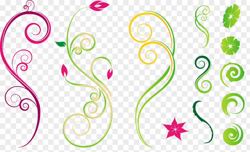 Design Nature Floral Drawing PNG