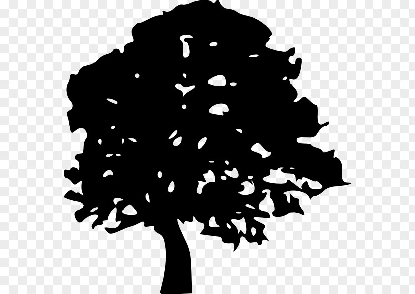 Free Vector Trees Oak Tree Silhouette Clip Art PNG