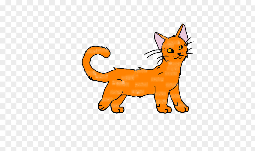 Kitten Whiskers Tabby Cat Sphynx Domestic Short-haired PNG
