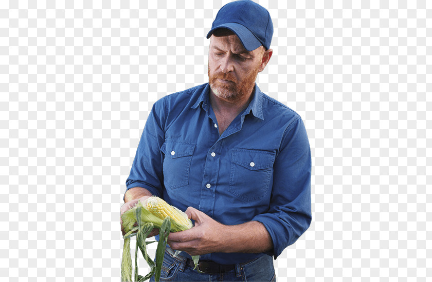 Web Browser Farmer Floveyor PNG