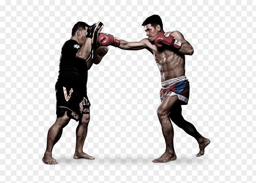 Boxing Muay Thai Mixed Martial Arts Evolve MMA PNG