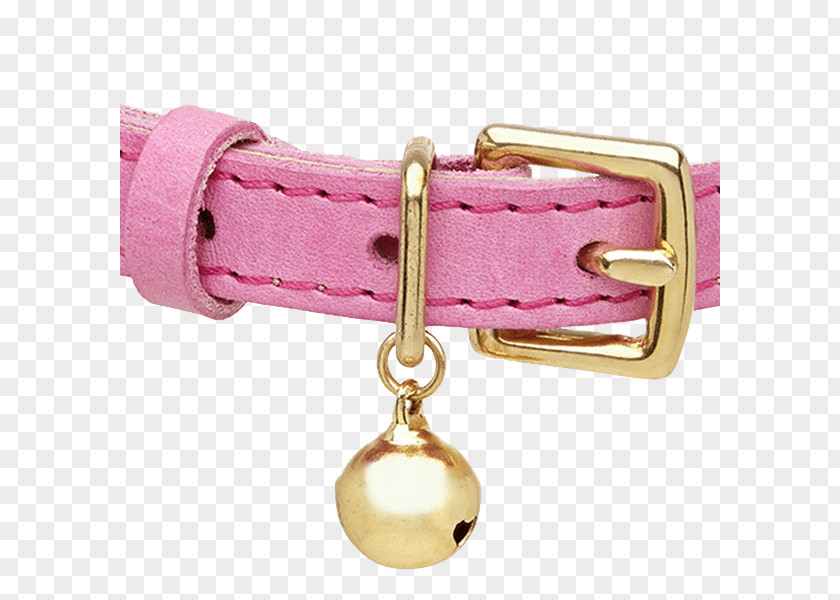 Cat Collar Pink Dog PNG