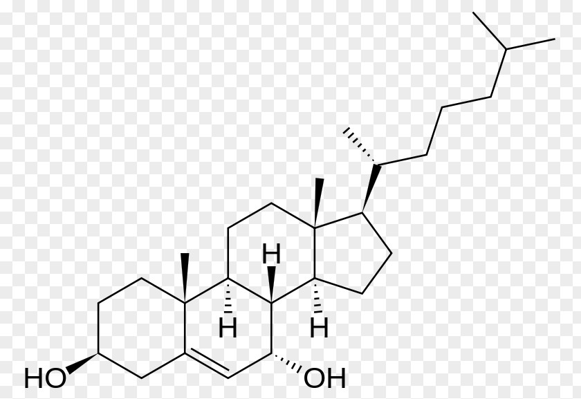 Cholesterol Dehydroepiandrosterone Estrogen Receptor Hidroksiholesterol 27-Hydroxycholesterol 7-Dehydrocholesterol PNG