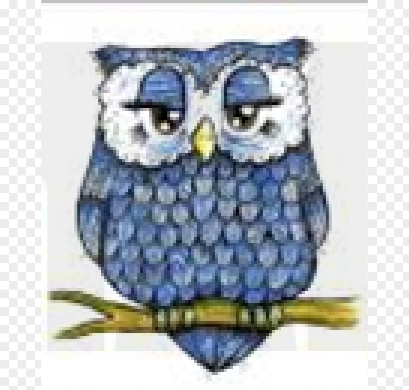 Owl Barred Bird Clip Art PNG