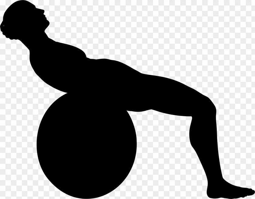 Silhouette Exercise Balls Physical Fitness Centre PNG