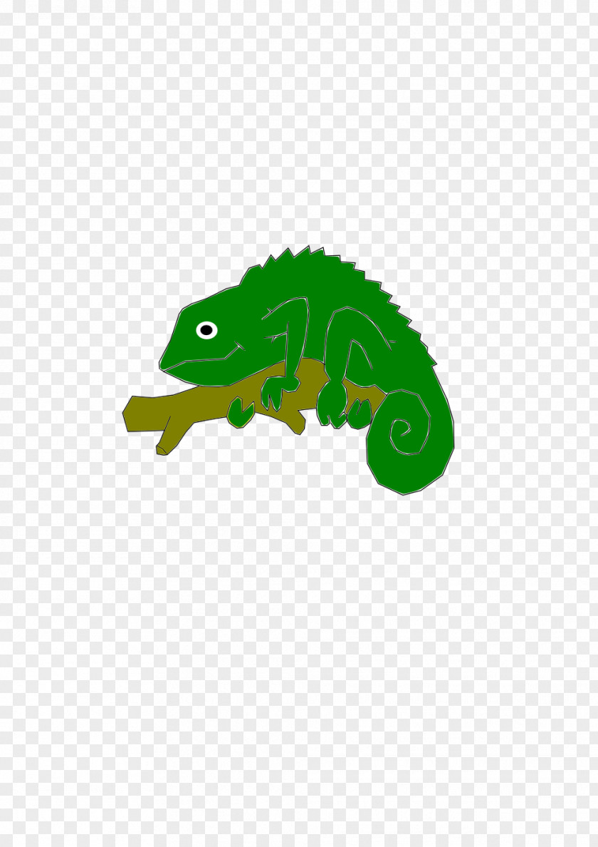 Cameleon Reptile Chameleons Clip Art PNG
