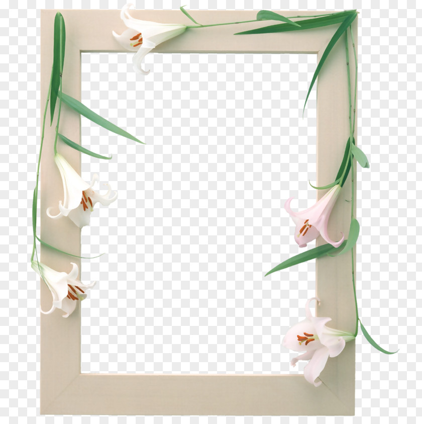 Flower Photograph Picture Frames Adobe Photoshop Image PNG