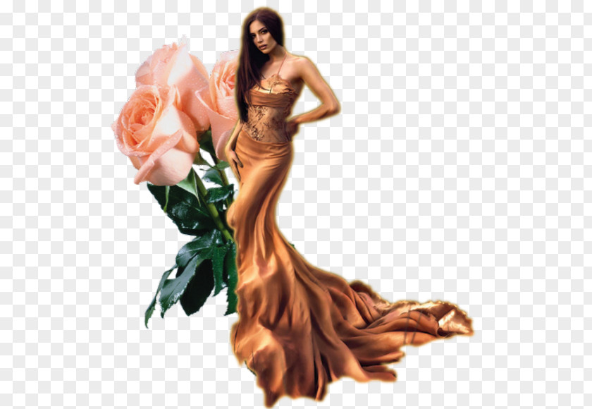 Gown Fashion Model M Keyboard Beach Rose PNG