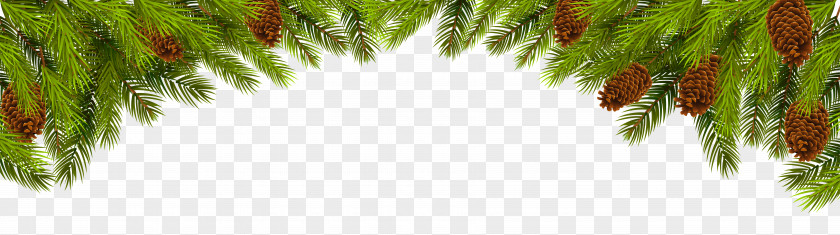 Pine Cone Christmas Ornament Branch Clip Art PNG