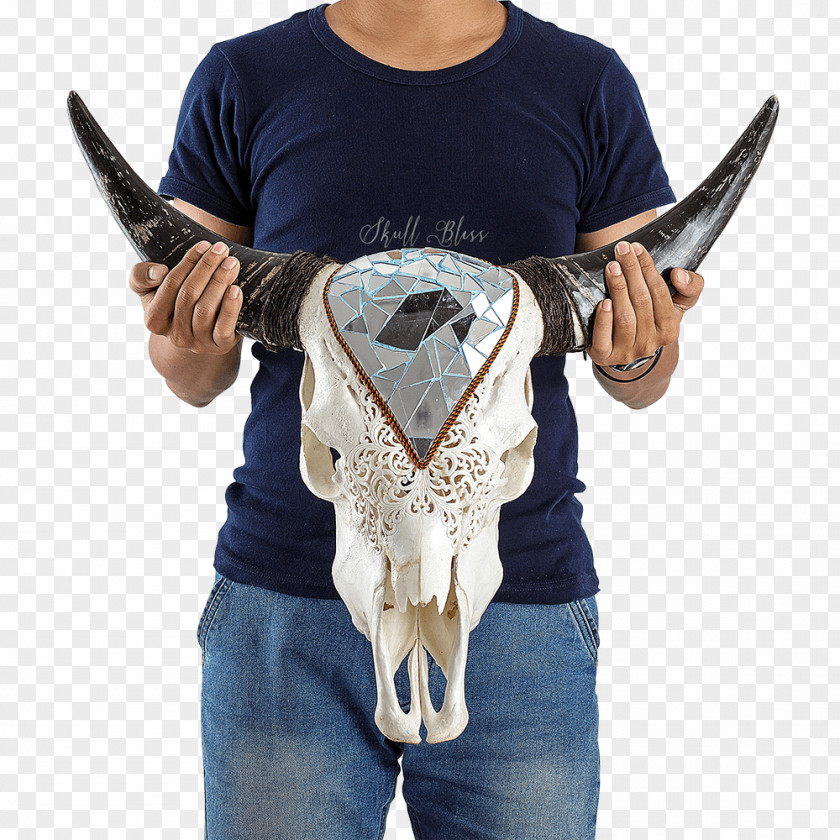 Skull XL Horns Cattle Carving PNG