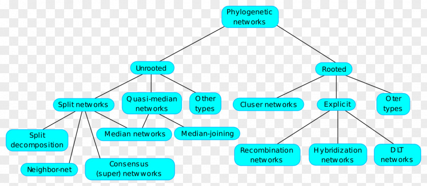 Tree Phylogenetic Network Phylogenetics Split Neighbor-net PNG