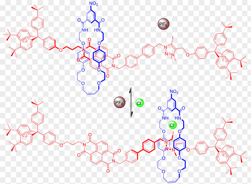 Anion Chloride Molecule Rotaxane PNG