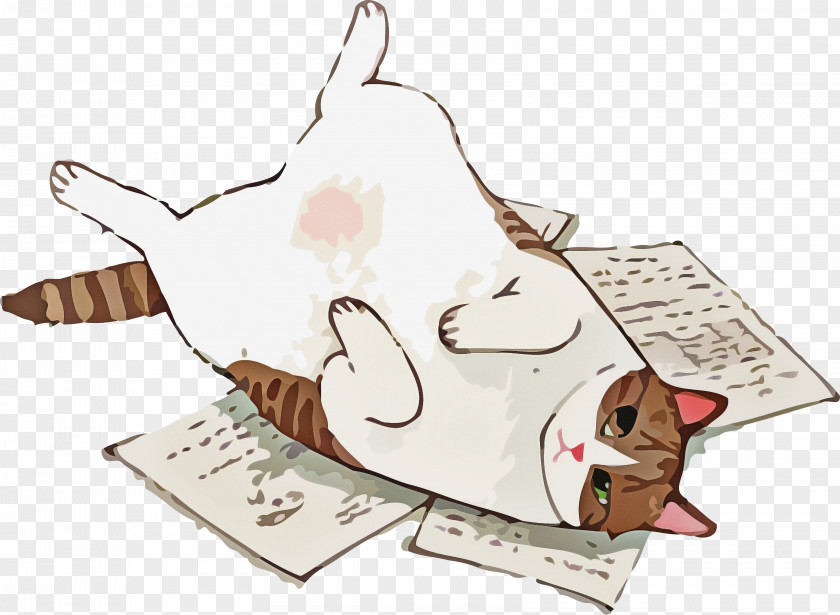 Cat Book PNG