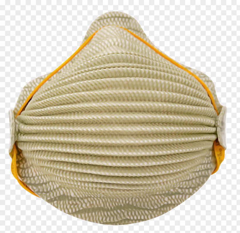 Cockle Clam Yellow Bivalve Scallop PNG