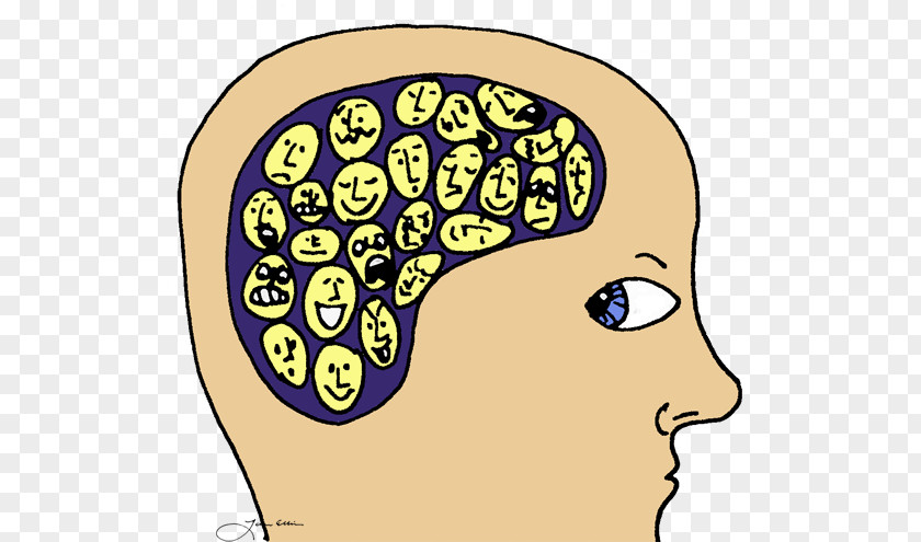 Emotional Intelligence Nose Cheek Homo Sapiens Forehead Human Behavior PNG