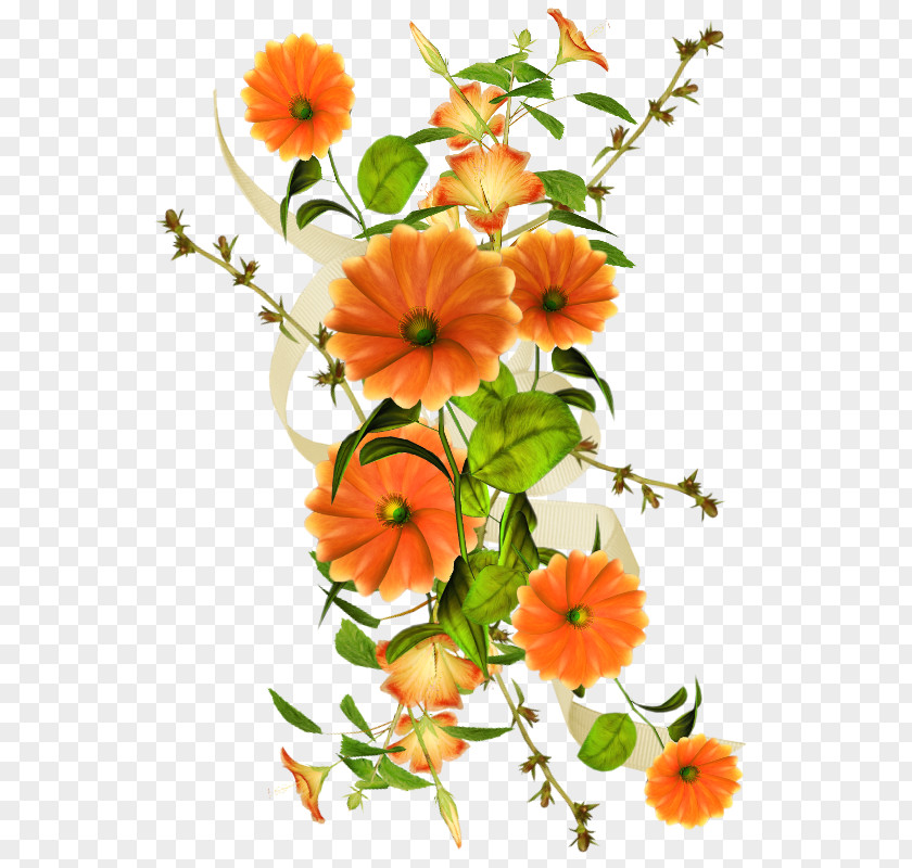 Flowers Background Material Collage Computer File PNG