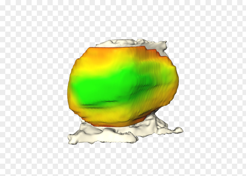 Fruit PNG