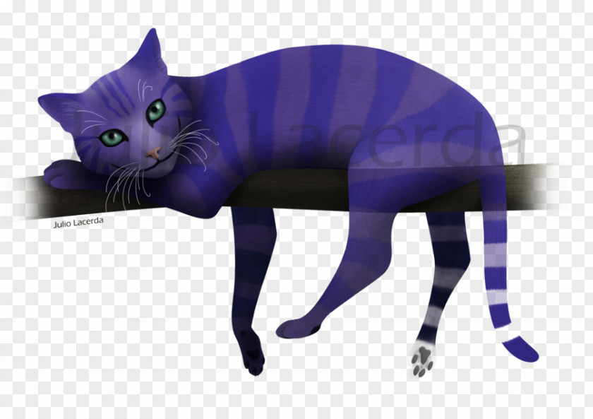 Kitten Korat Whiskers Black Cat Cheshire PNG