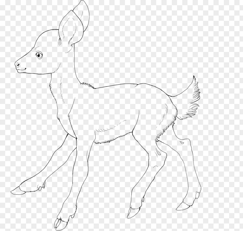 Reindeer Antelope Line Art Pack Animal White PNG