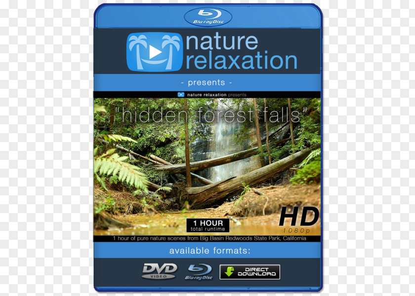 Waterfall Forest Park Kanching Blu-ray Disc 4K Resolution Ultra-high-definition Television High-definition Video PNG