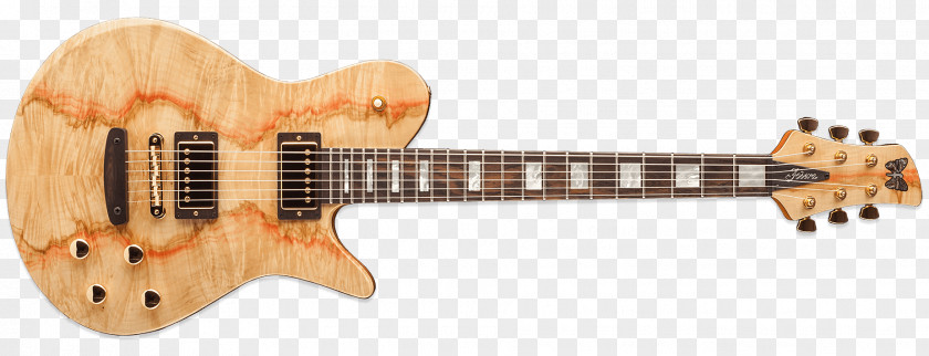 Bass Guitar Electric Epiphone Les Paul Gibson PNG
