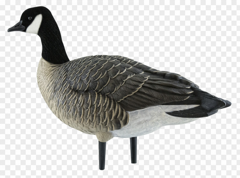 Lonely Goose Canada Decoy Duck PNG