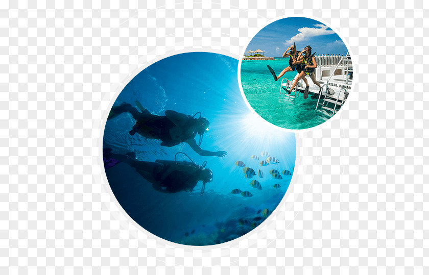 Reactive Watersports Co Scuba Diving Underwater Set Recreational Dive Sites Wajag Island PNG