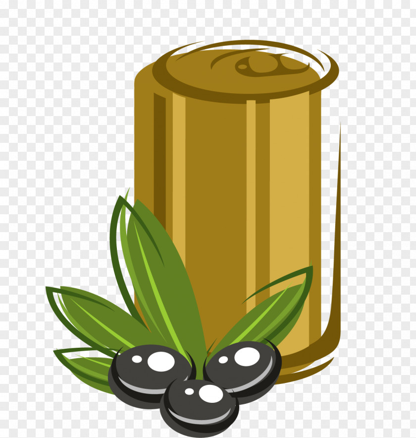 Aceituna Vector Olive Illustration Image Design PNG