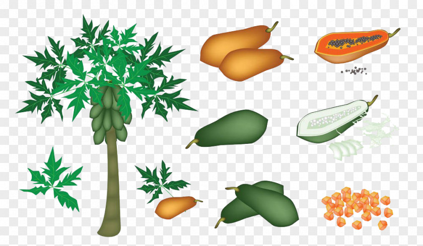 Cartoon Hand Painted Papaya With Tree Pawpaw Royalty-free Clip Art PNG