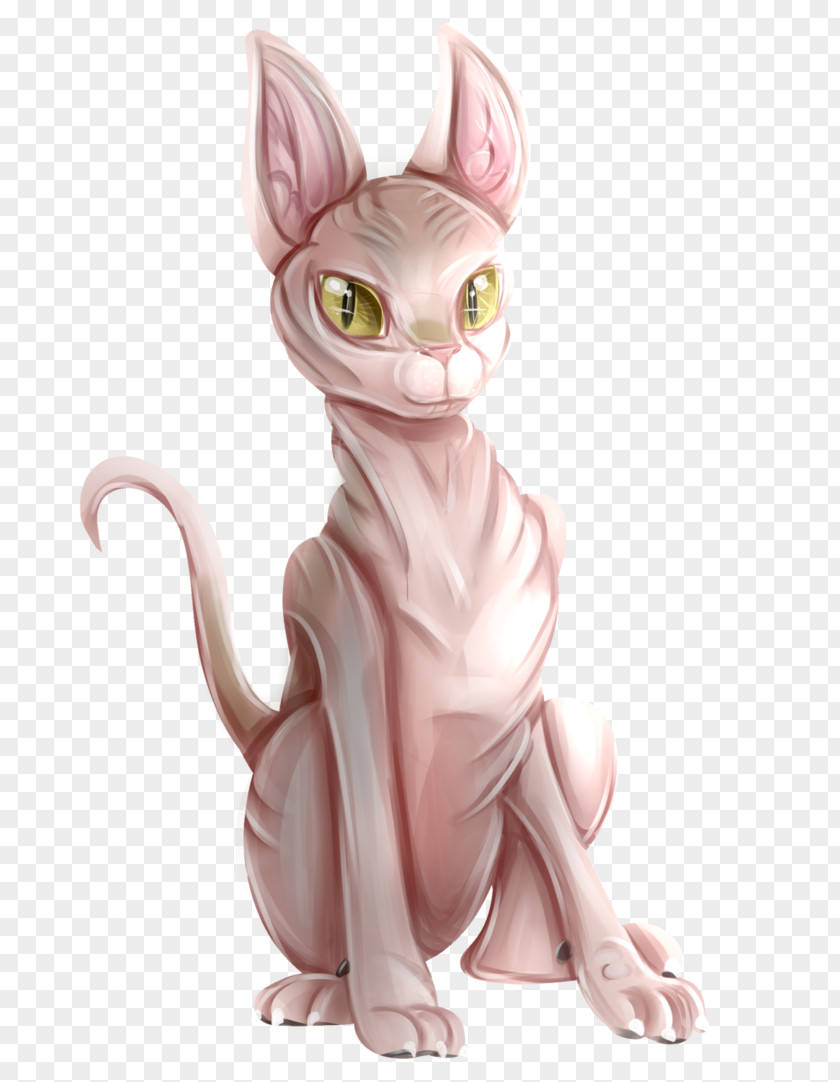 Kitten Whiskers Sphynx Cat Tabby Drawing PNG