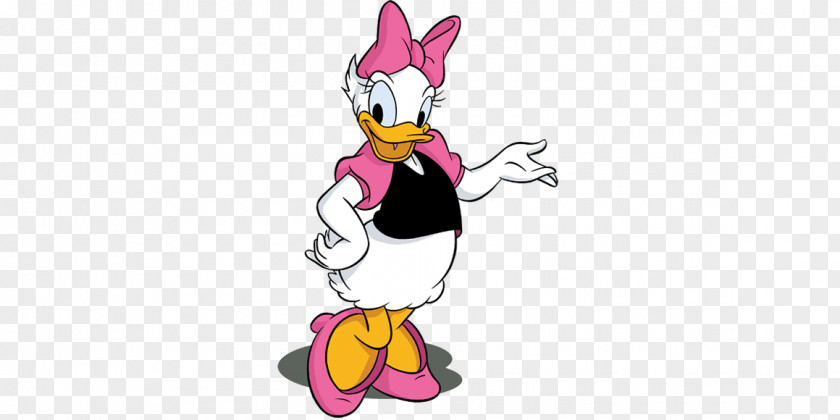 Mickey Mouse Daisy Duck Rabbit Bird PNG