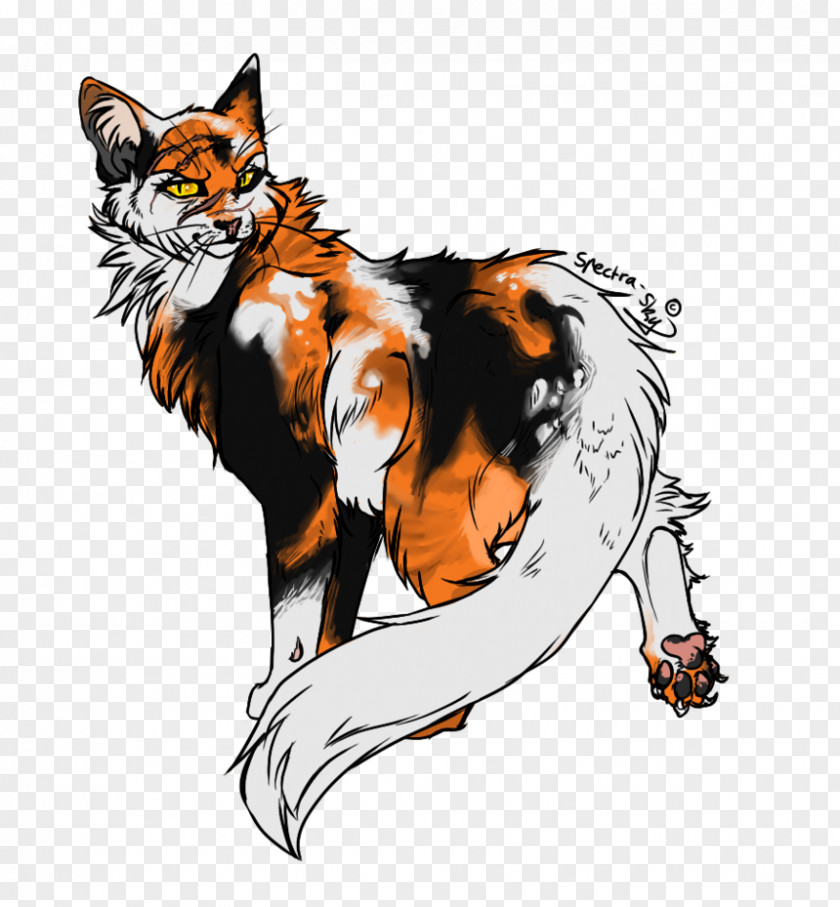 Warrior Cats Cat Warriors Drawing DeviantArt PNG