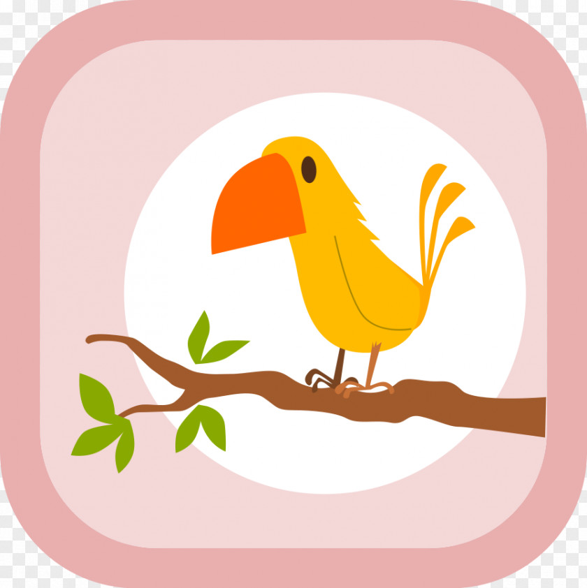 Birds Clip Art PNG