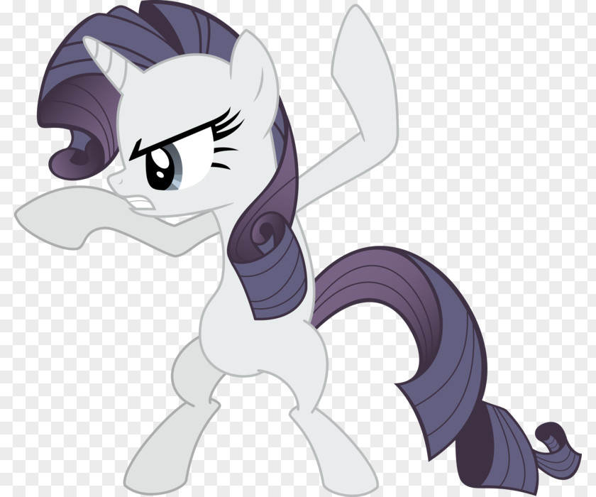My Little Pony Rarity Twilight Sparkle Applejack Rainbow Dash PNG
