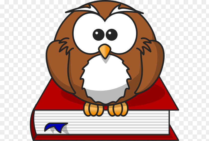 Teacher Cliparts Transparent Baby Owls Cartoon Clip Art PNG