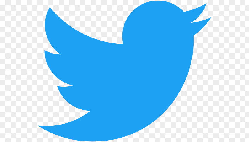 Twitter Bird Logo YouTube PNG