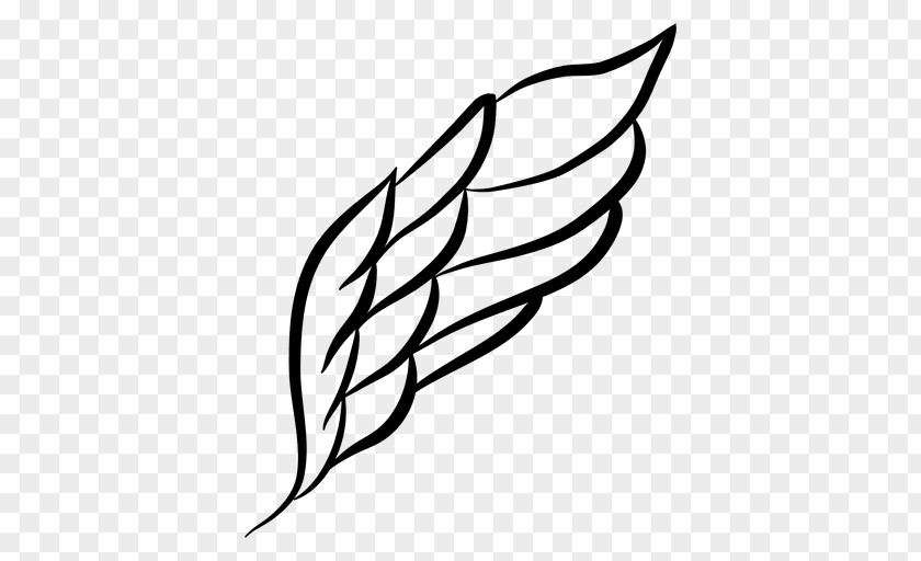 Wings Clipart Drawing Clip Art PNG