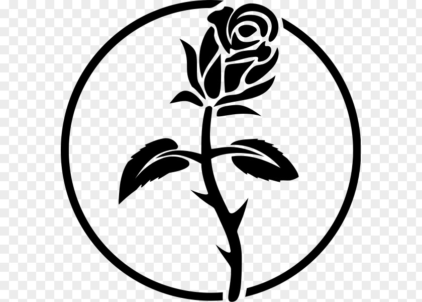 Anarchy Anarchism Symbol Black Rose Anarchist Cross Federation Flag PNG