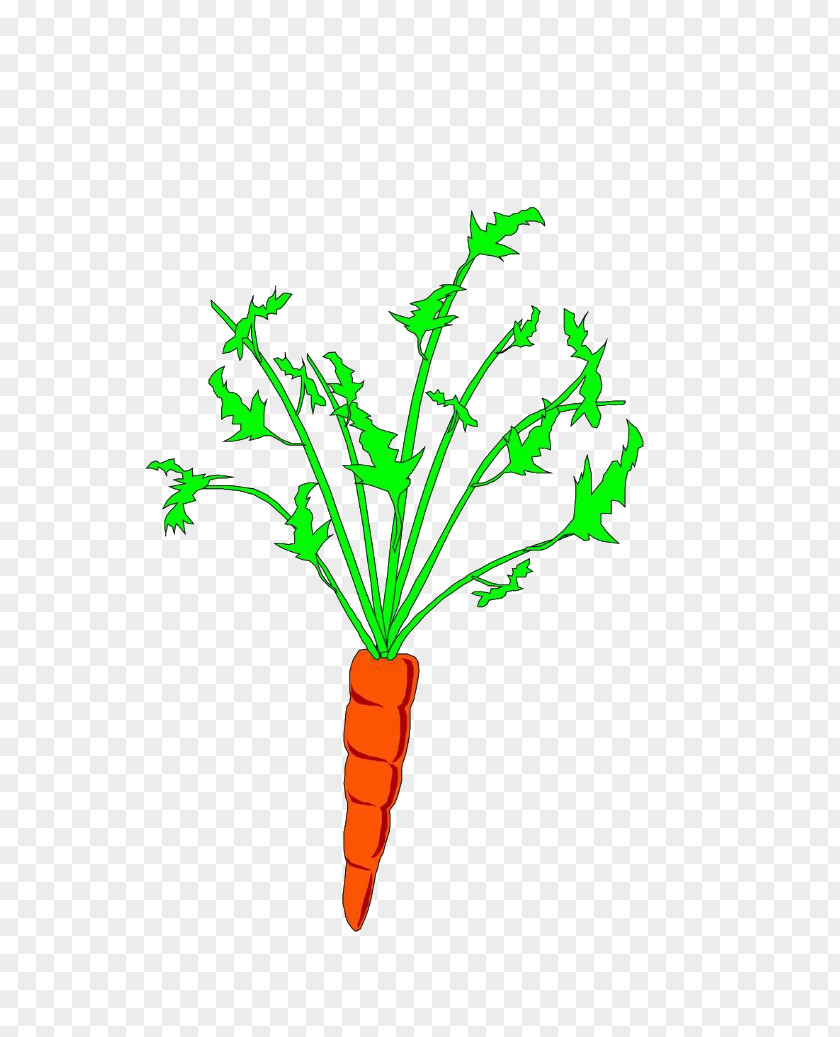 Carrot Animation Clip Art PNG