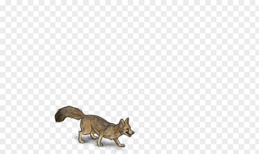 Cat Red Fox Dog Fur Canidae PNG