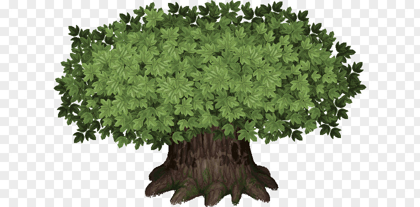 Daylight Mahan Confederacy Baekje Tree Nexus: The Kingdom Of Winds Shrub PNG