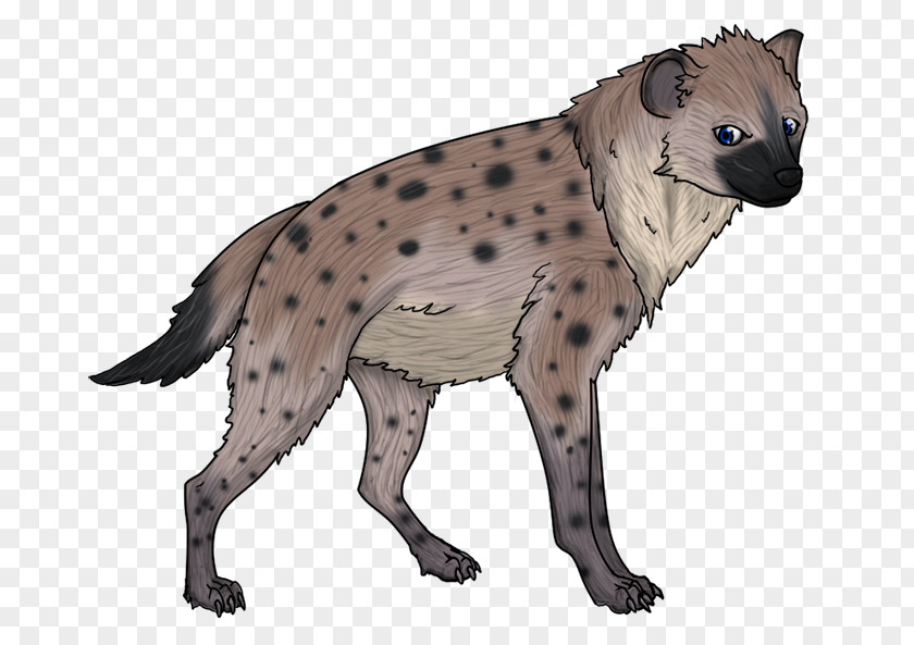 Dog Breed Viverrids Mammal Snout PNG