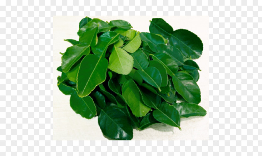 Kaffir Lime Thai Cuisine Citrus Hystrix Leaf Key Kafir PNG