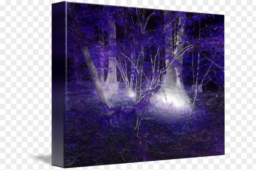 Light Modern Art Painting Violet Desktop Wallpaper PNG