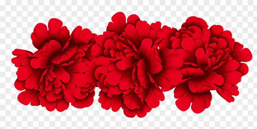 Peony Red Moutan PNG