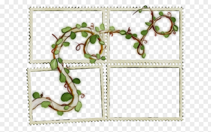 Plant Picture Frames Cartoon PNG