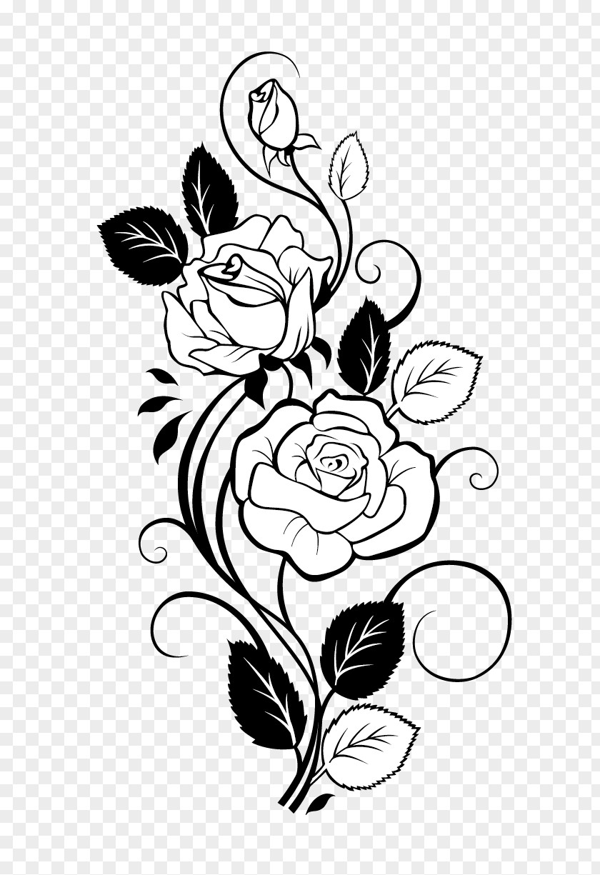 Rose Drawing Vine Clip Art PNG