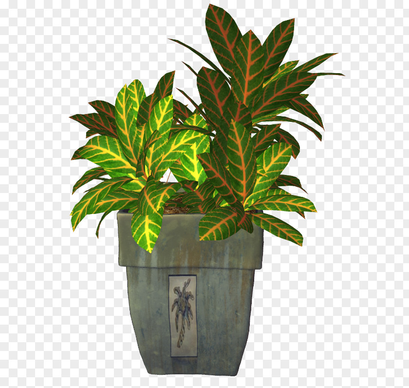 Plant Flowerpot Transparency And Translucency Photography PNG